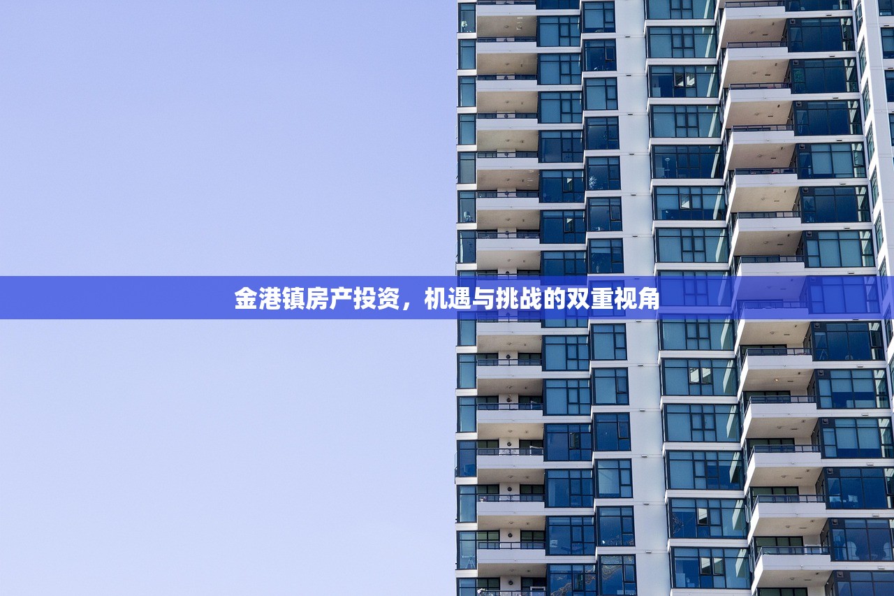 金港镇房产投资，机遇与挑战的双重视角