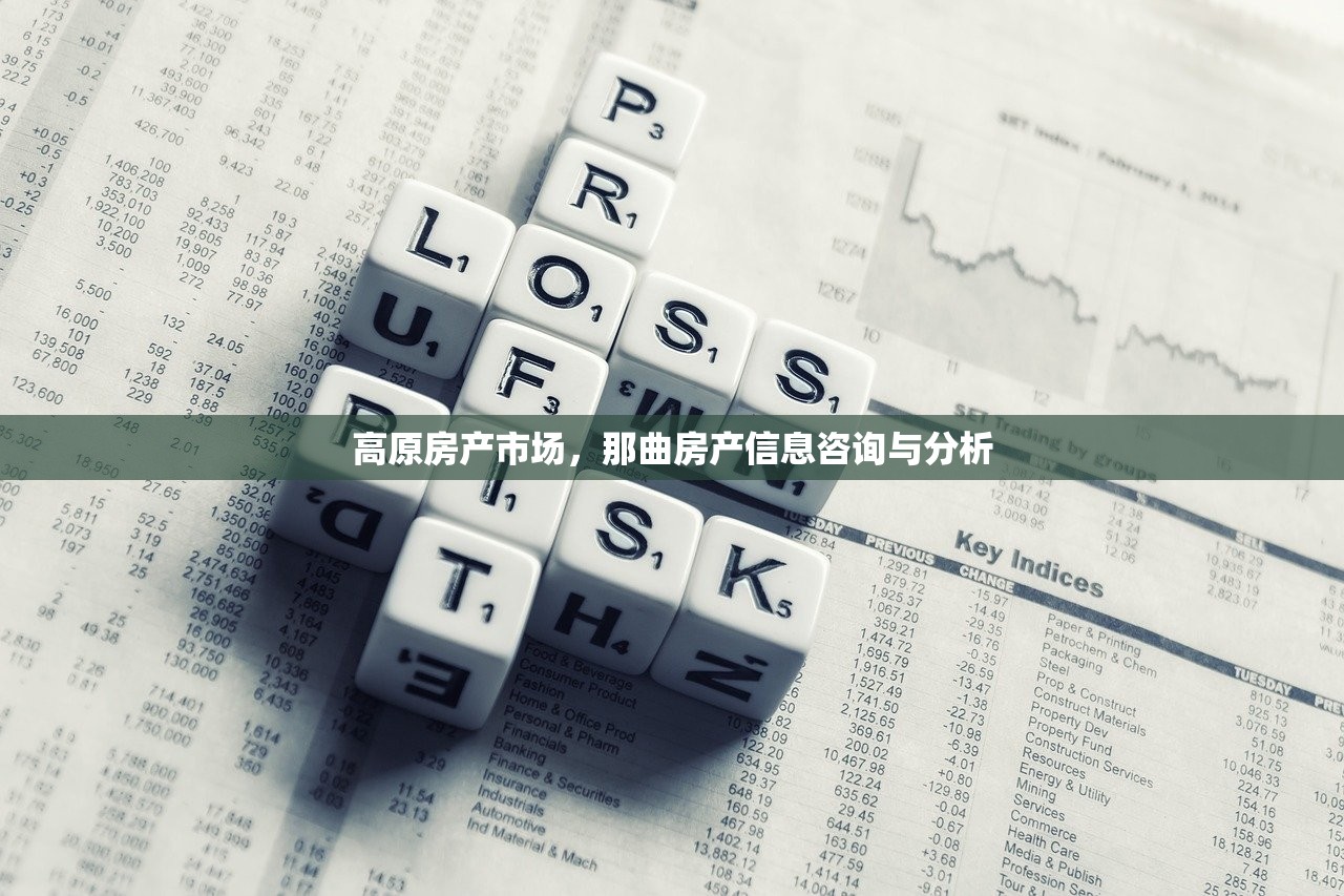 高原房产市场，那曲房产信息咨询与分析