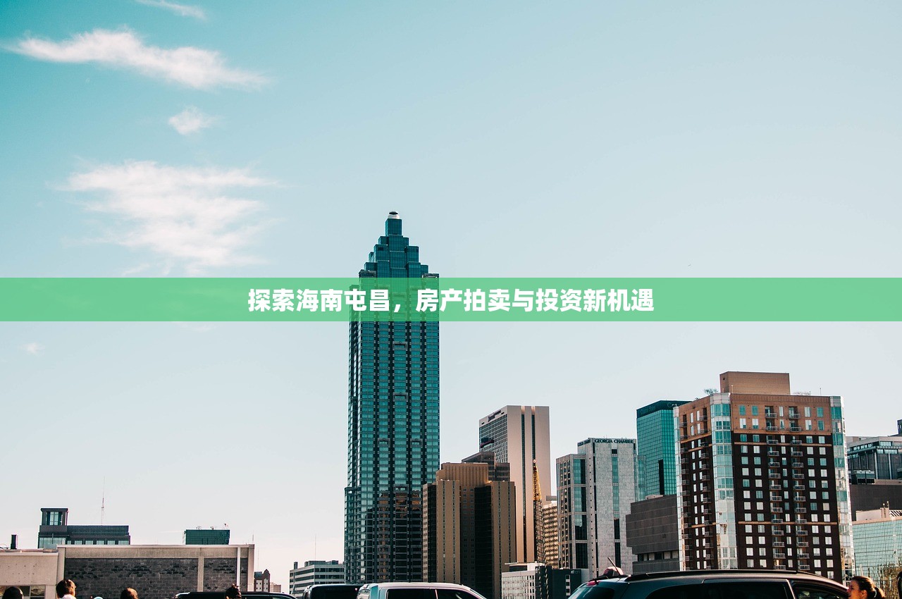 双鸿煊