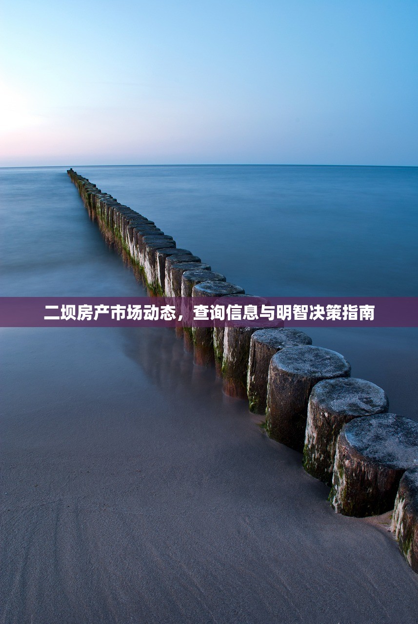 二坝房产市场动态，查询信息与明智决策指南