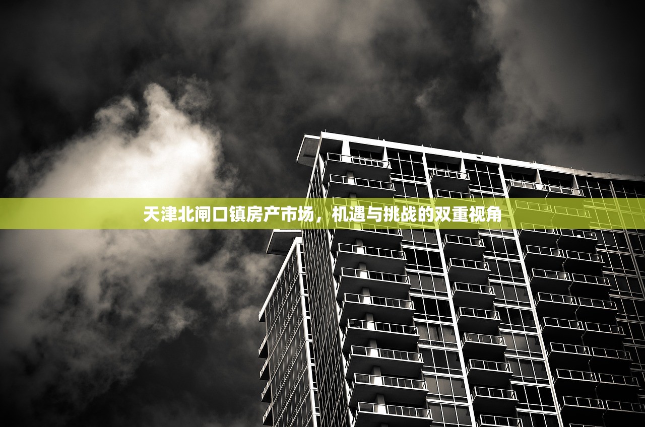 天津北闸口镇房产市场，机遇与挑战的双重视角