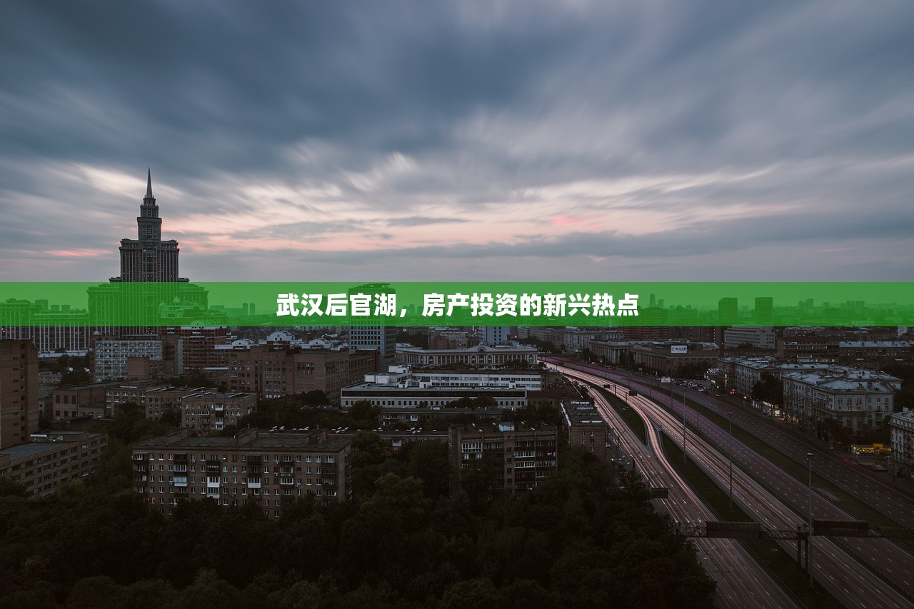 武汉后官湖，房产投资的新兴热点