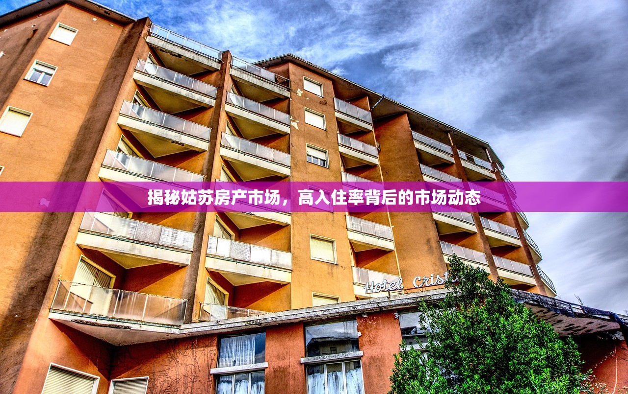 揭秘姑苏房产市场，高入住率背后的市场动态