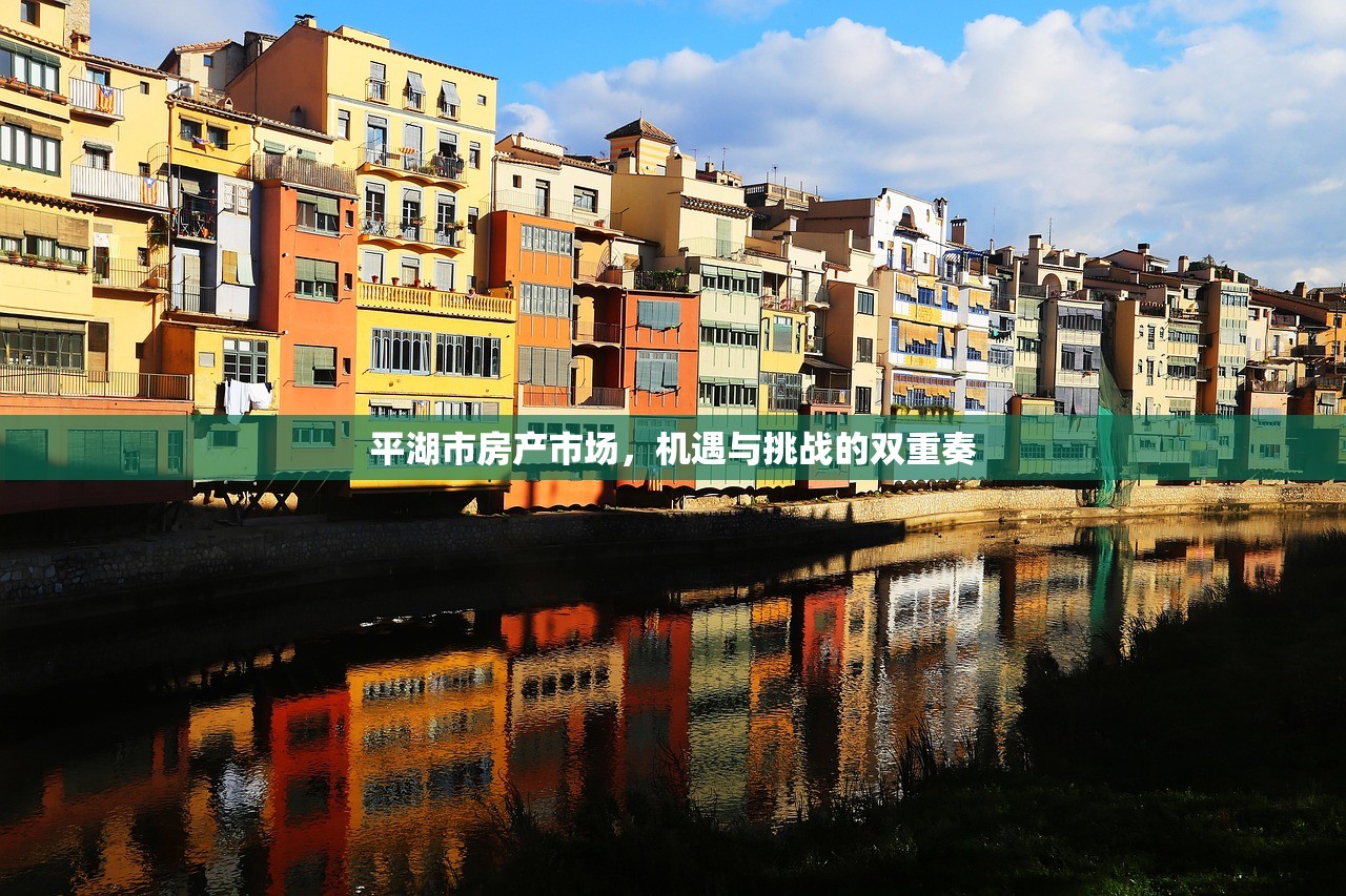 深圳与海南，房产投资的璀璨双子星
