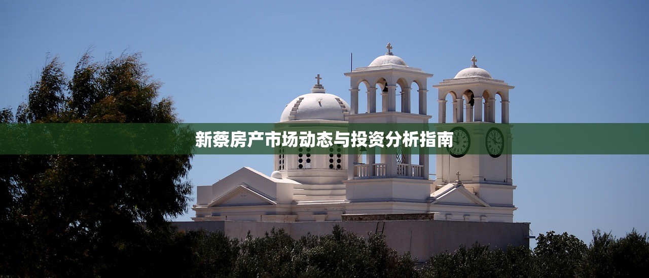 新蔡房产市场动态与投资分析指南