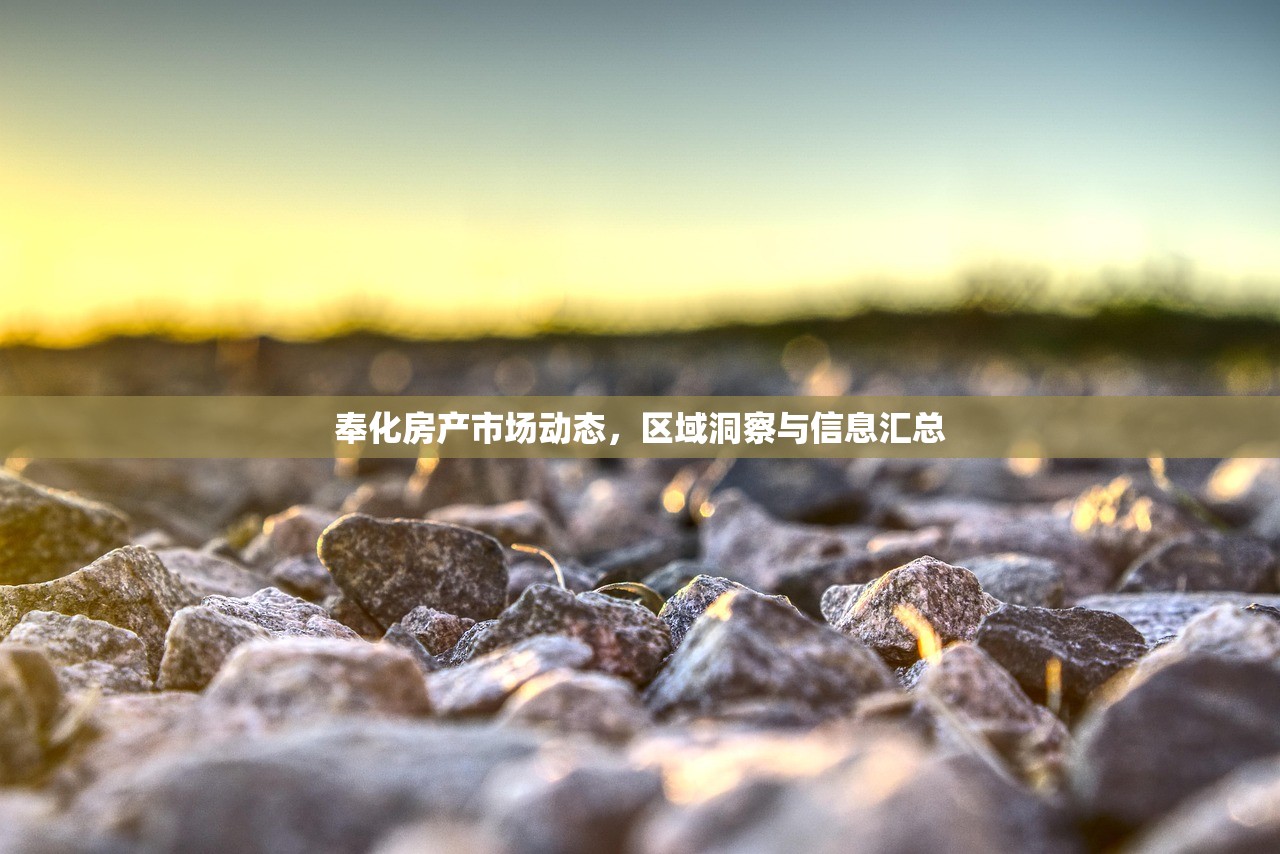 奉化房产市场动态，区域洞察与信息汇总