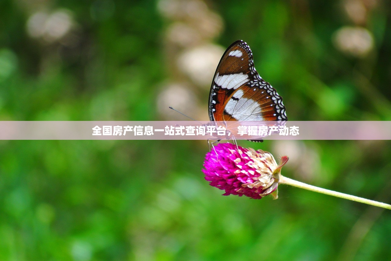 宁波江北房产新生态，一站式服务引领房产信息新时代