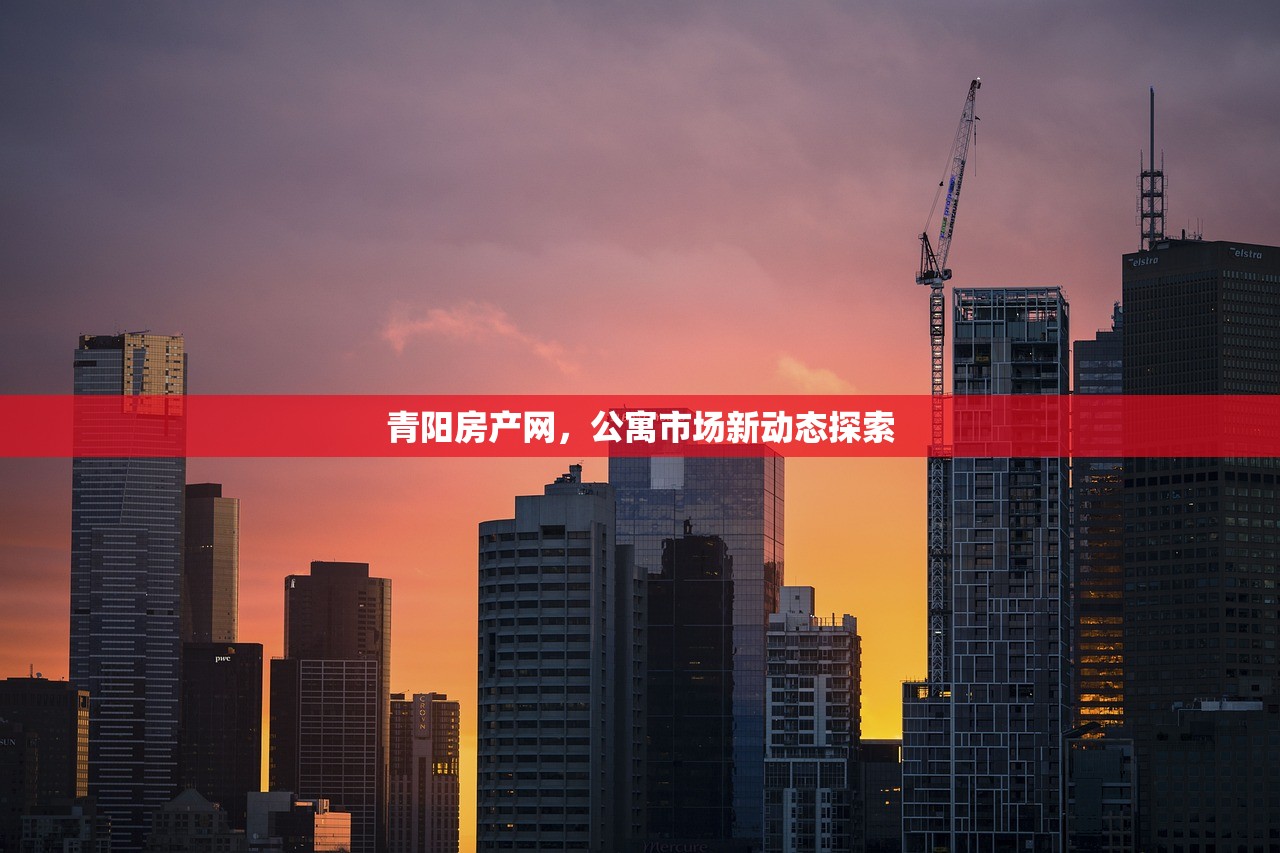 青阳房产网，公寓市场新动态探索