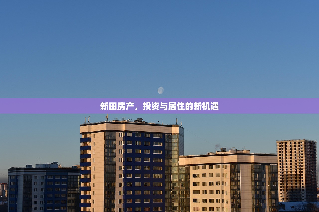 新田房产，投资与居住的新机遇