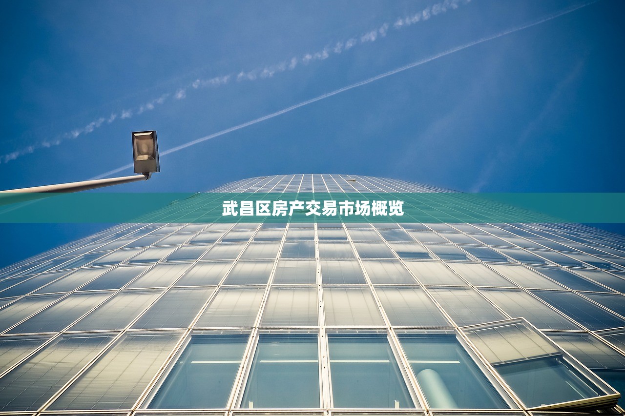 武昌区房产交易市场概览