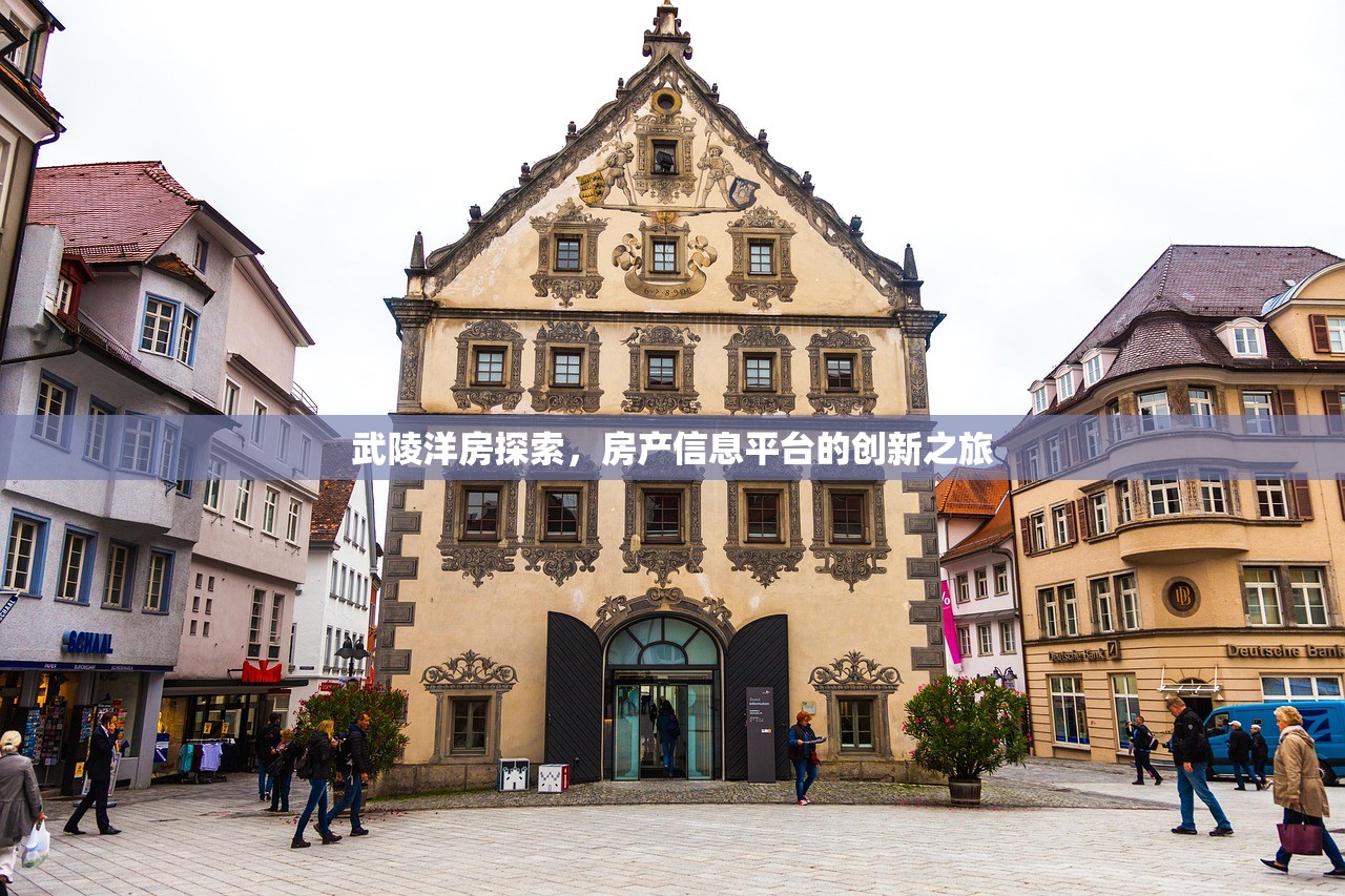 武陵洋房探索，房产信息平台的创新之旅