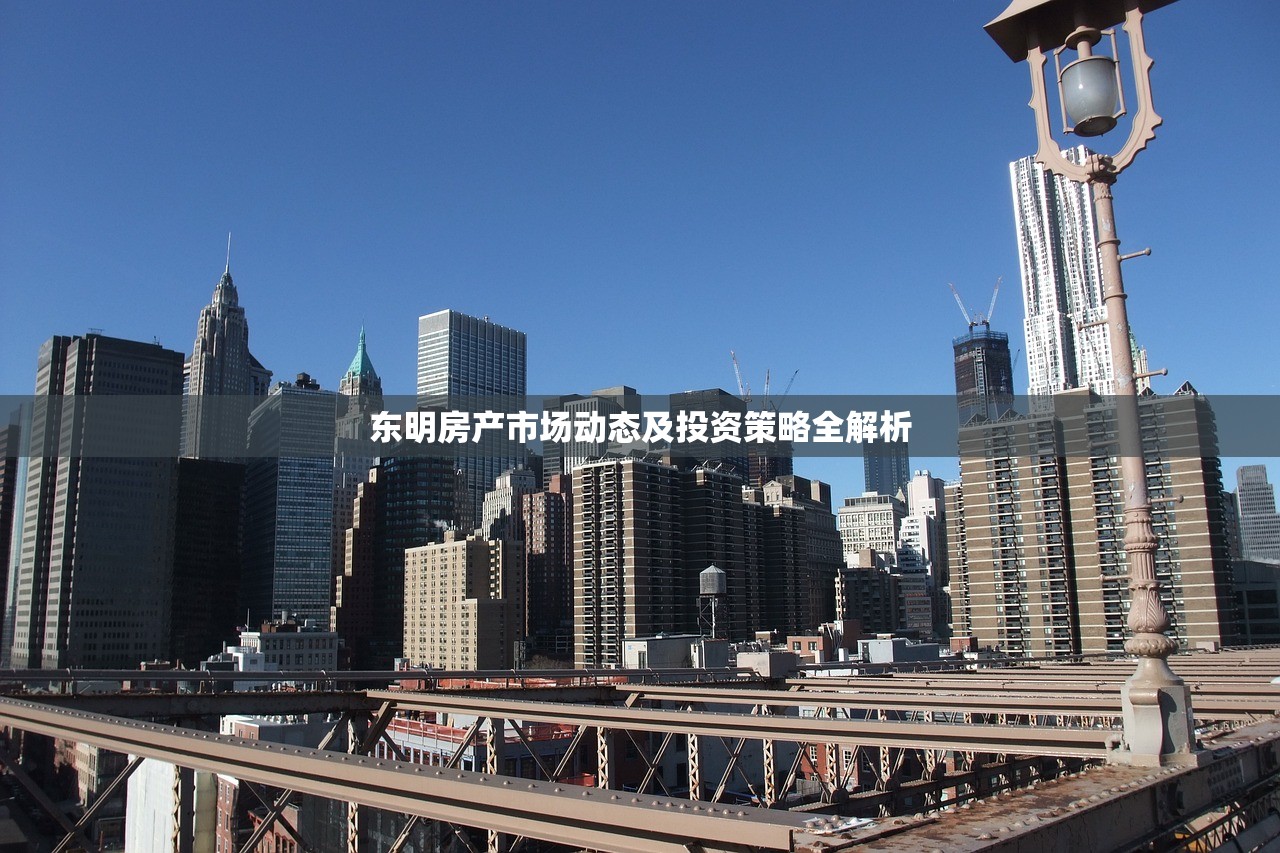 东明房产市场动态及投资策略全解析