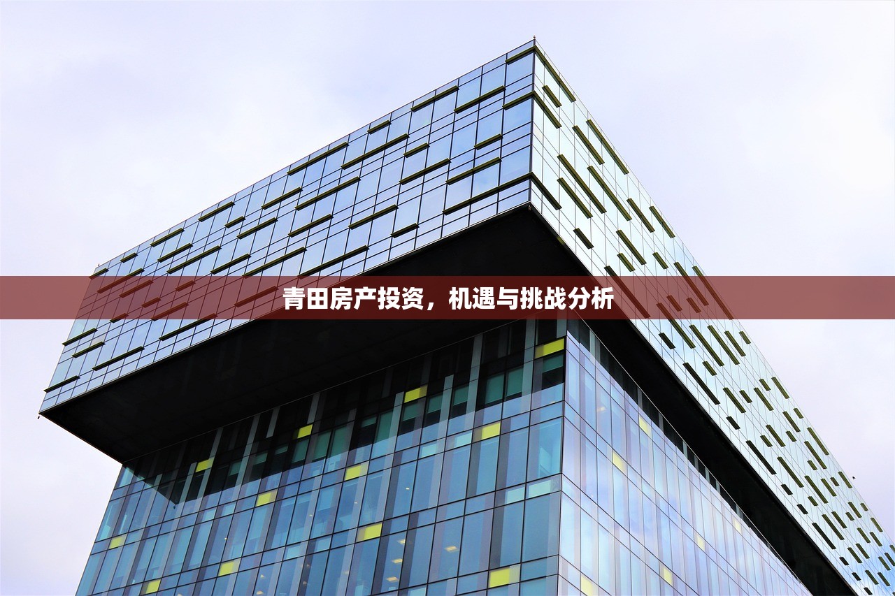 青田房产投资，机遇与挑战分析