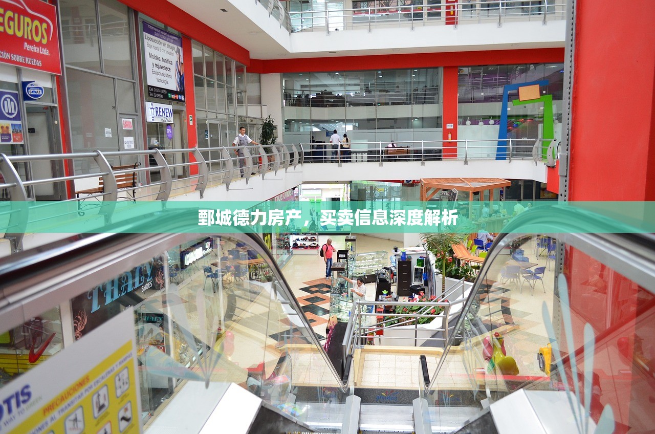 鄄城德力房产，买卖信息深度解析