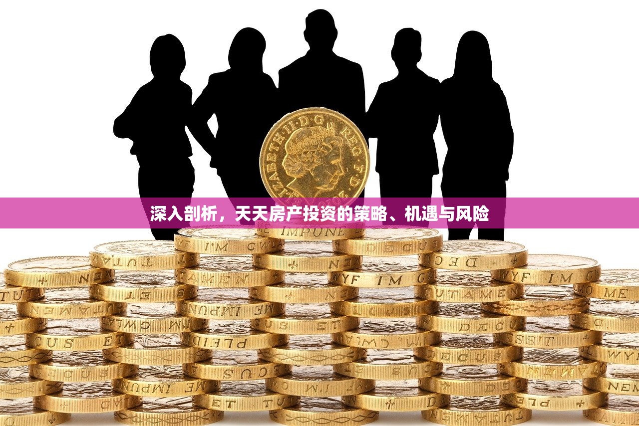 深入剖析，天天房产投资的策略、机遇与风险