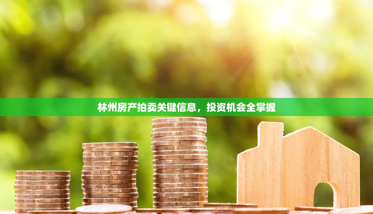林州房产拍卖关键信息，投资机会全掌握