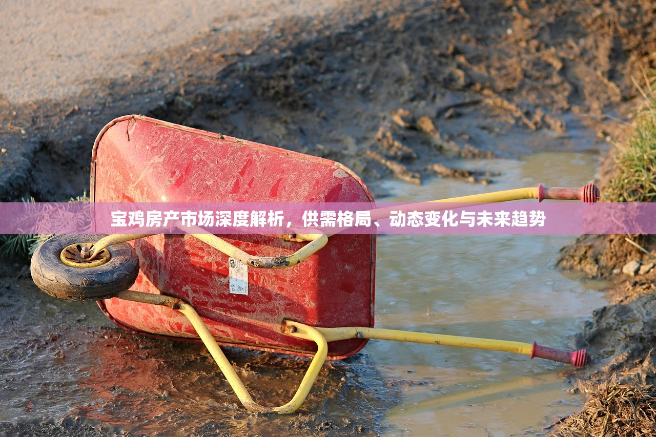 宝鸡房产市场深度解析，供需格局、动态变化与未来趋势