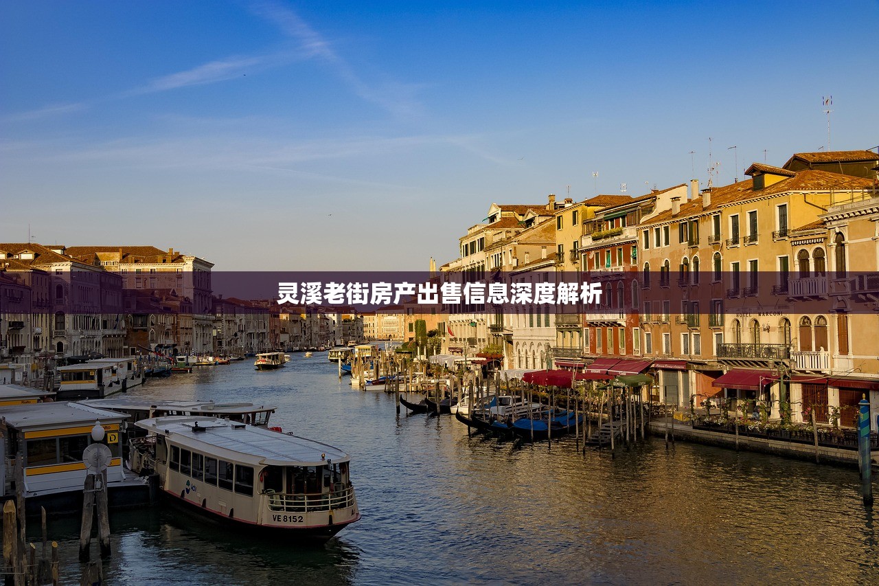 灵溪老街房产出售信息深度解析