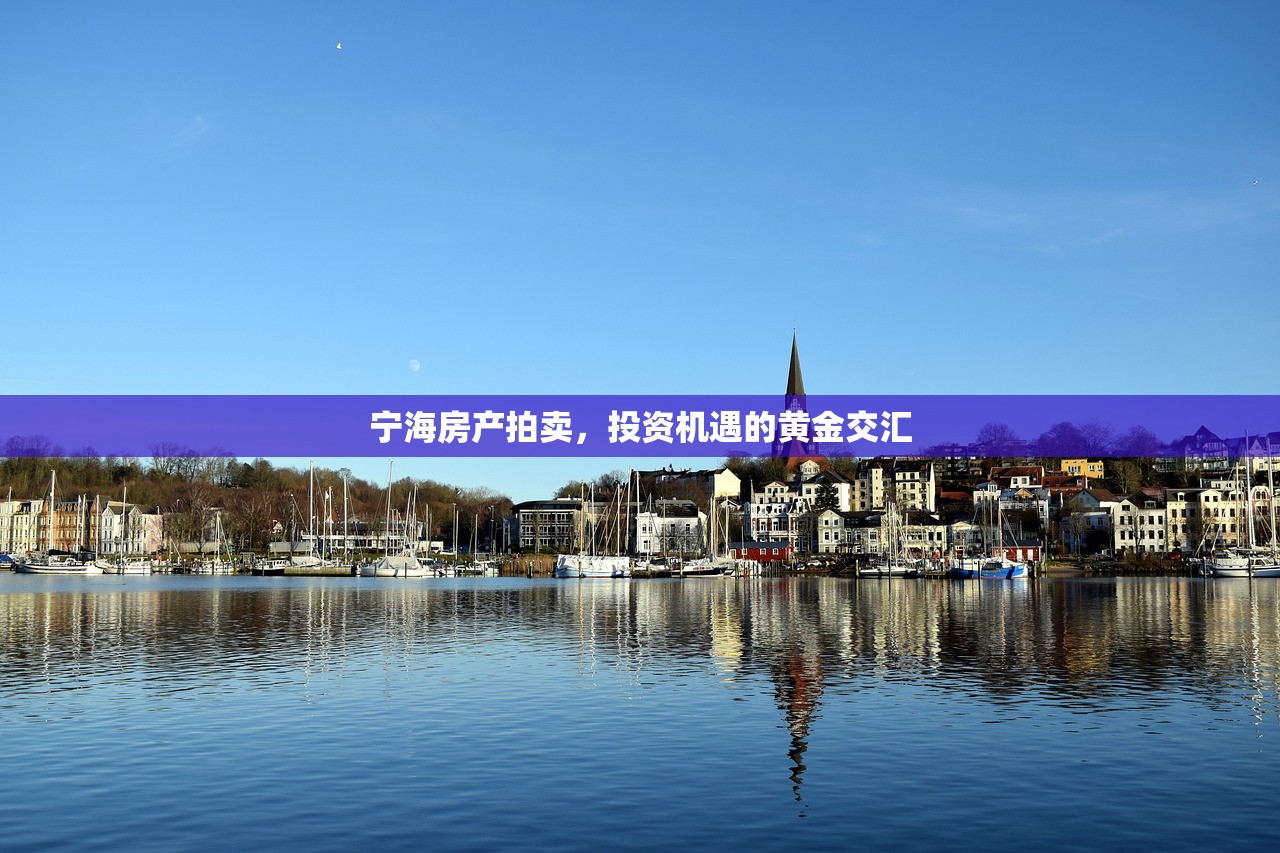 宁海房产拍卖，投资机遇的黄金交汇