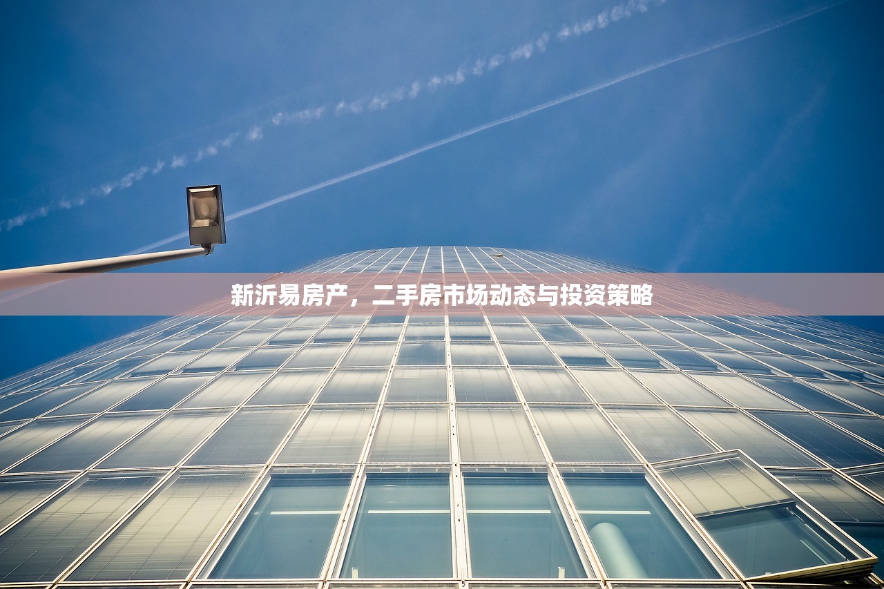 新沂易房产，二手房市场动态与投资策略