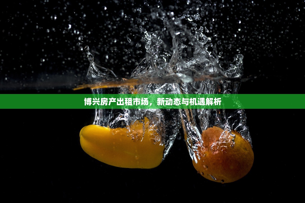 博兴房产出租市场，新动态与机遇解析