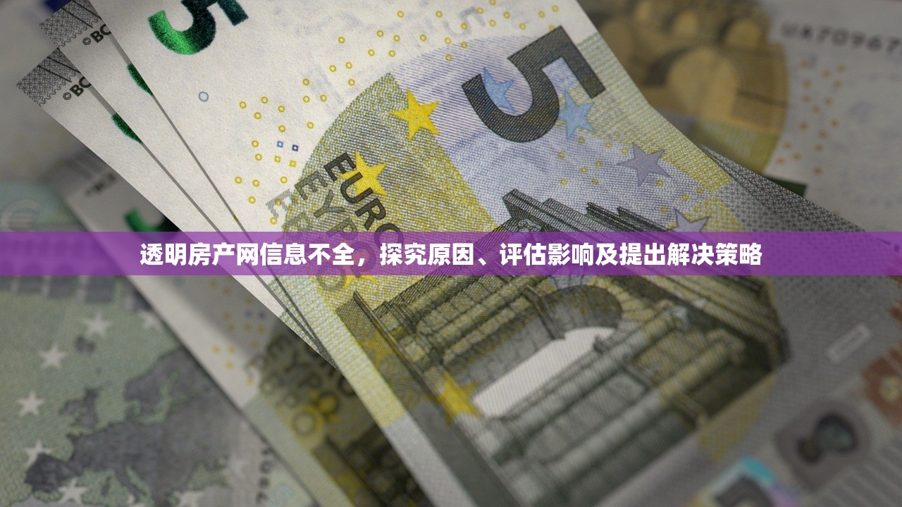 透明房产网信息不全，探究原因、评估影响及提出解决策略
