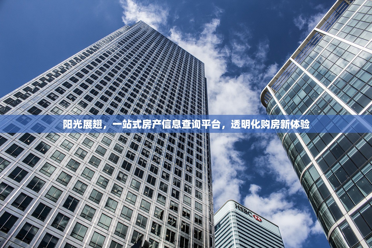 阳光展翅，一站式房产信息查询平台，透明化购房新体验
