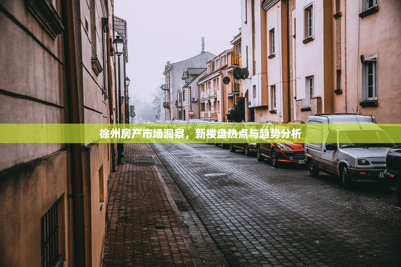 徐州房产市场洞察，新楼盘热点与趋势分析