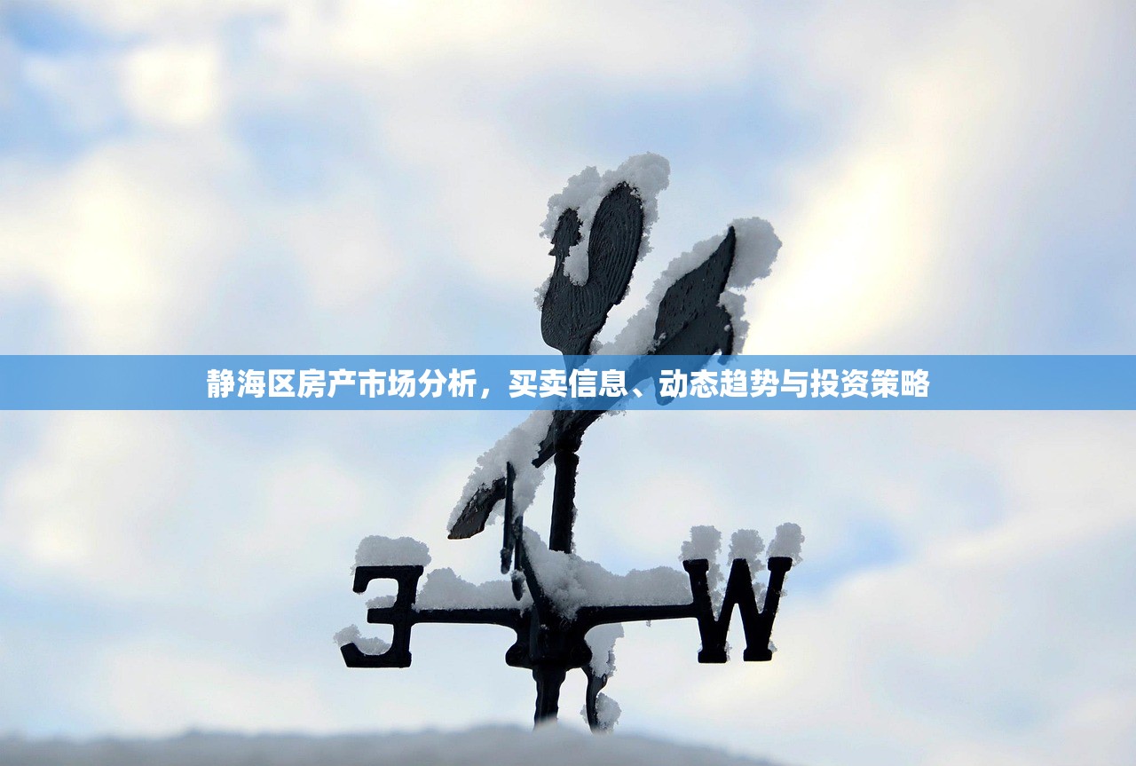 静海区房产市场分析，买卖信息、动态趋势与投资策略