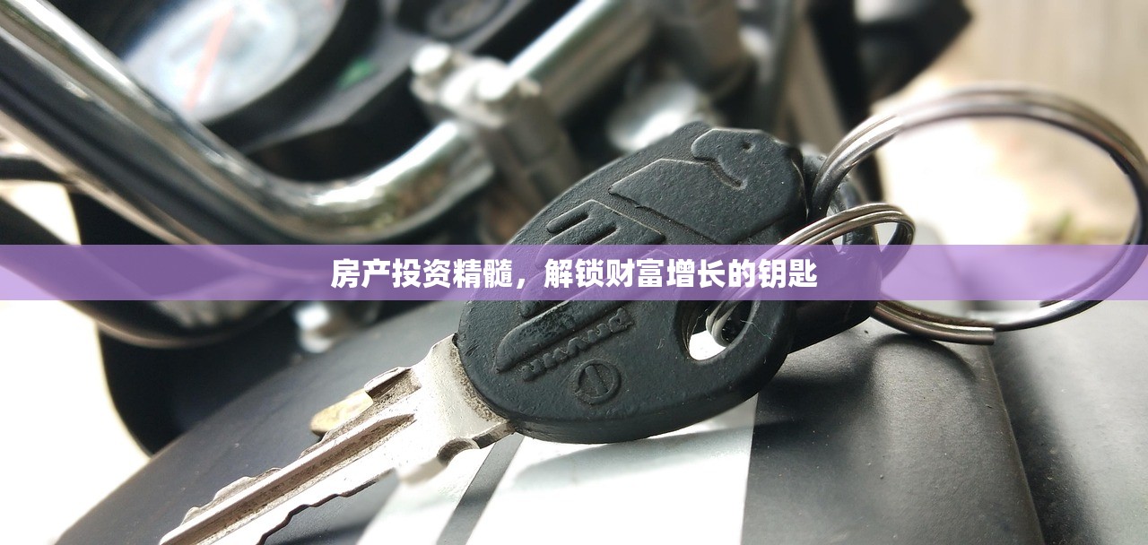 房产投资精髓，解锁财富增长的钥匙