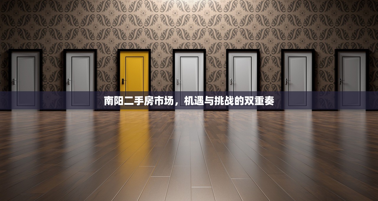 南阳二手房市场，机遇与挑战的双重奏