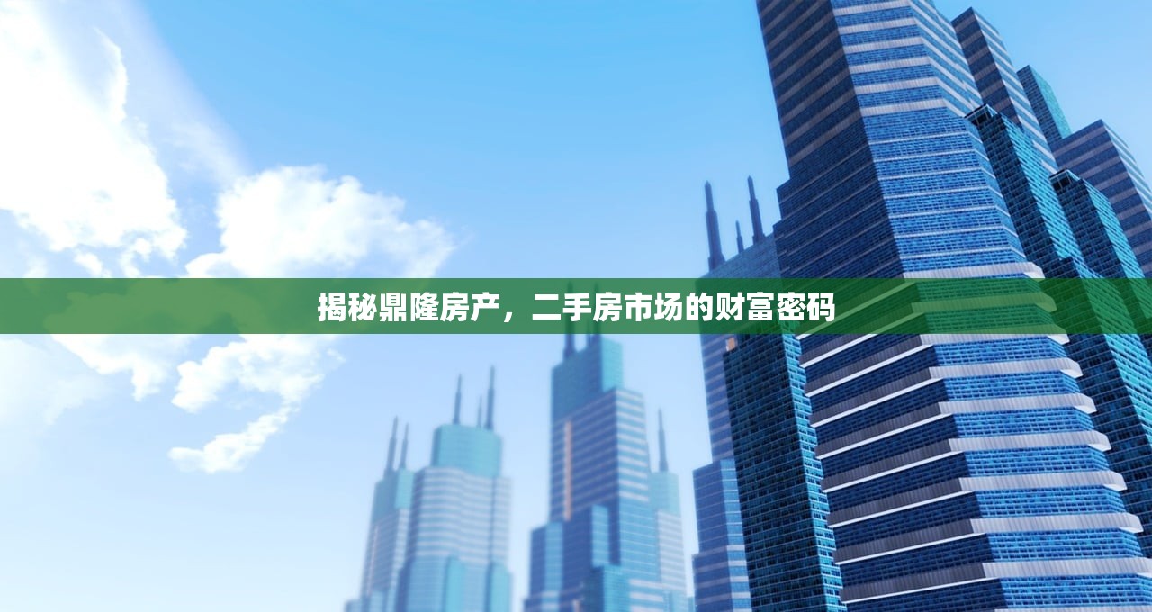 揭秘鼎隆房产，二手房市场的财富密码