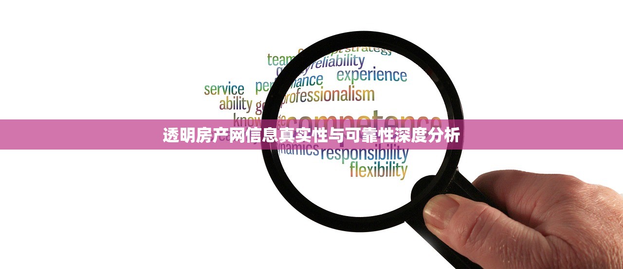透明房产网信息真实性与可靠性深度分析