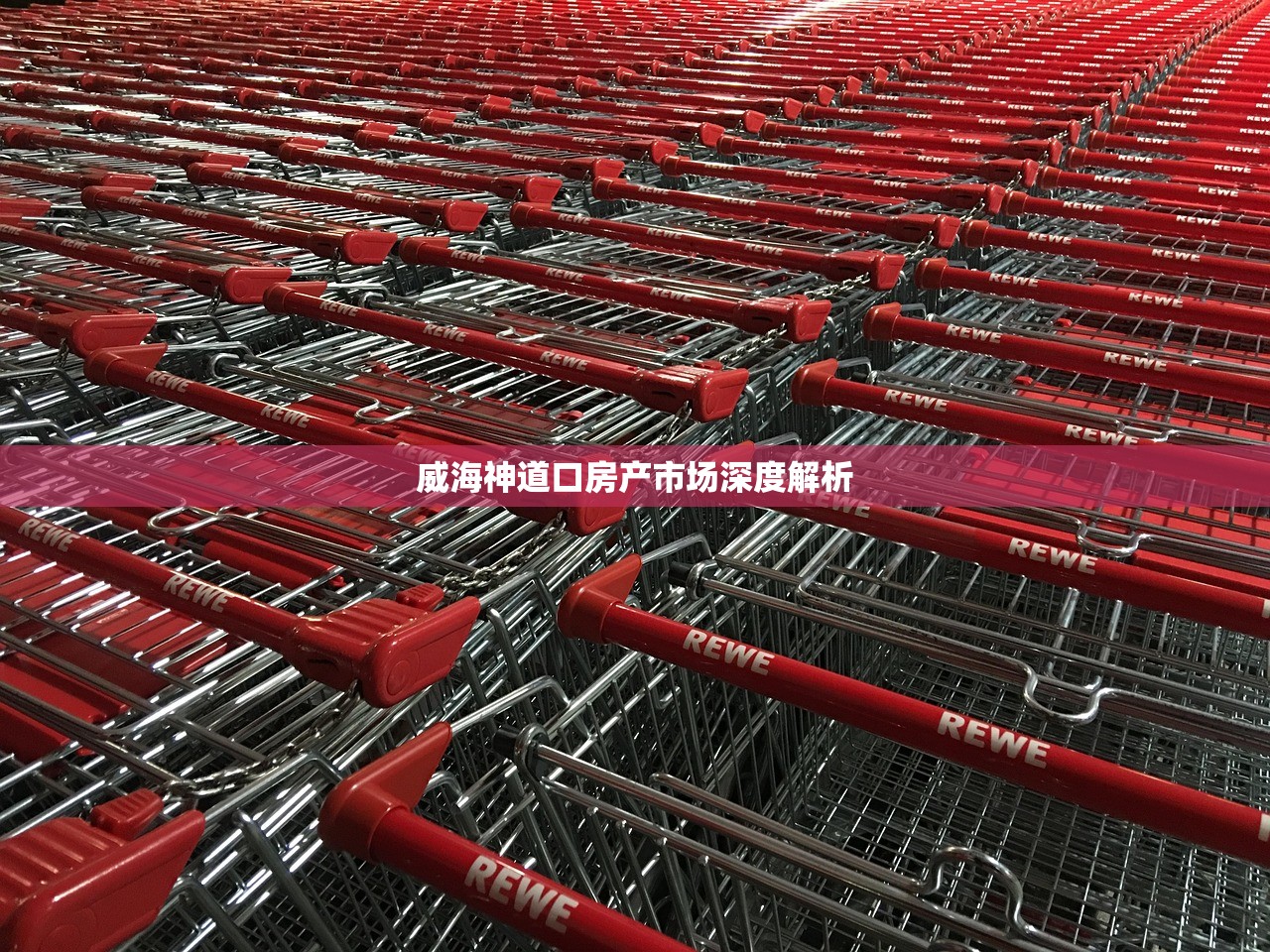 威海神道口房产市场深度解析