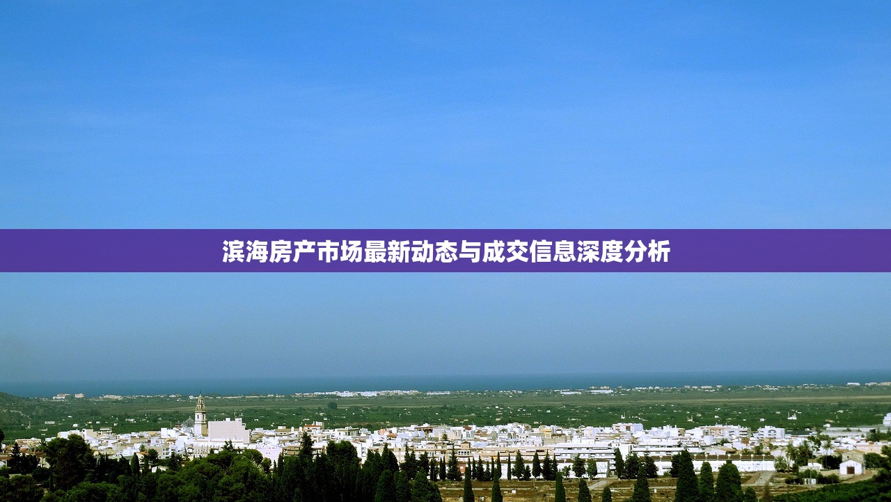 滨海房产市场最新动态与成交信息深度分析