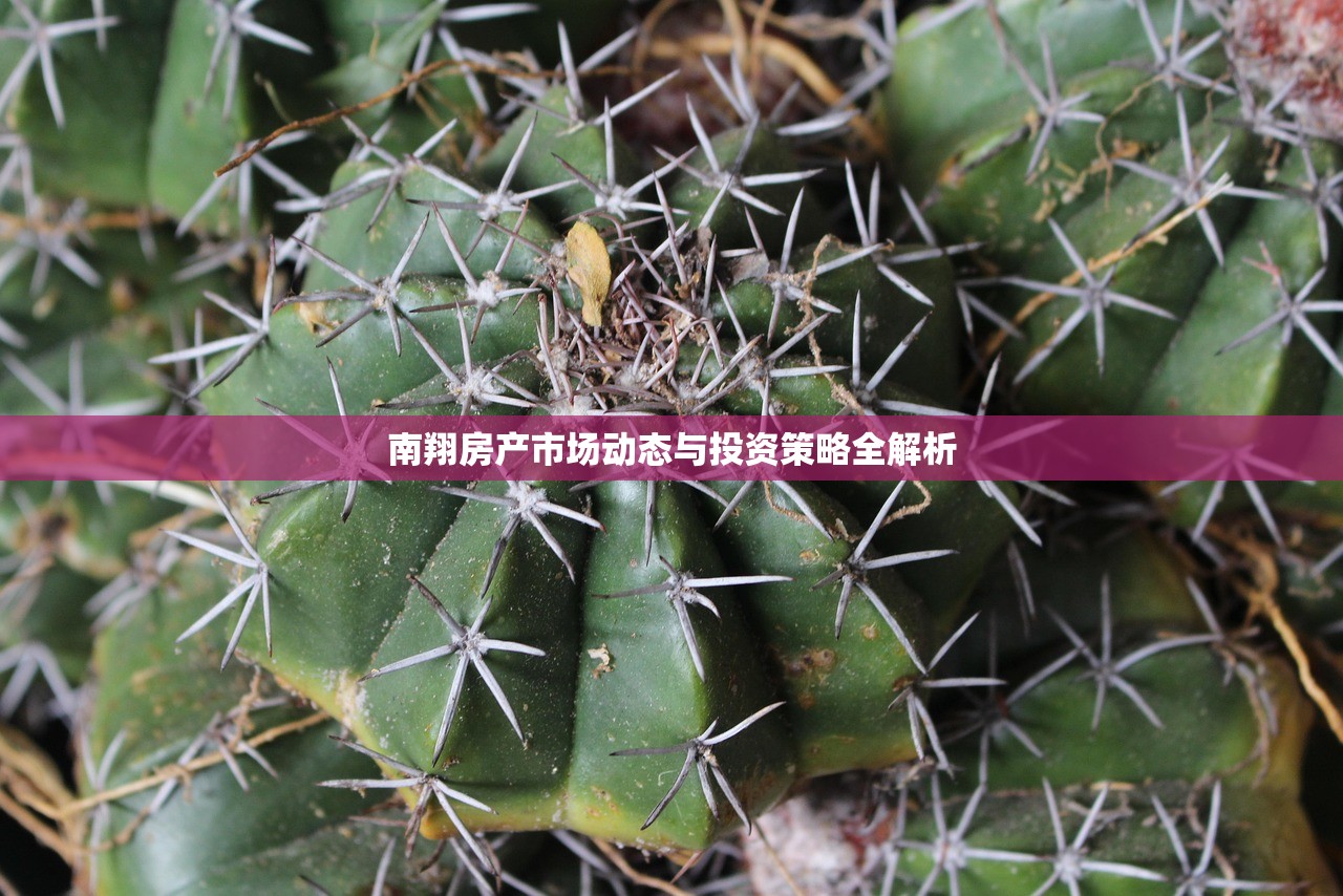 南翔房产市场动态与投资策略全解析