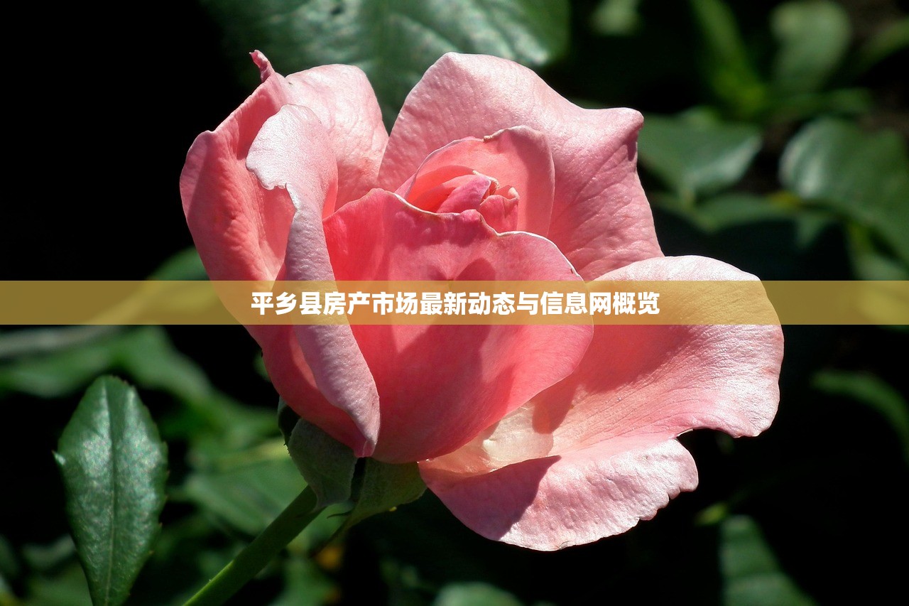 平乡县房产市场最新动态与信息网概览