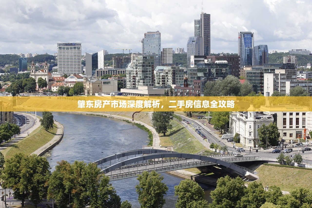 肇东房产市场深度解析，二手房信息全攻略