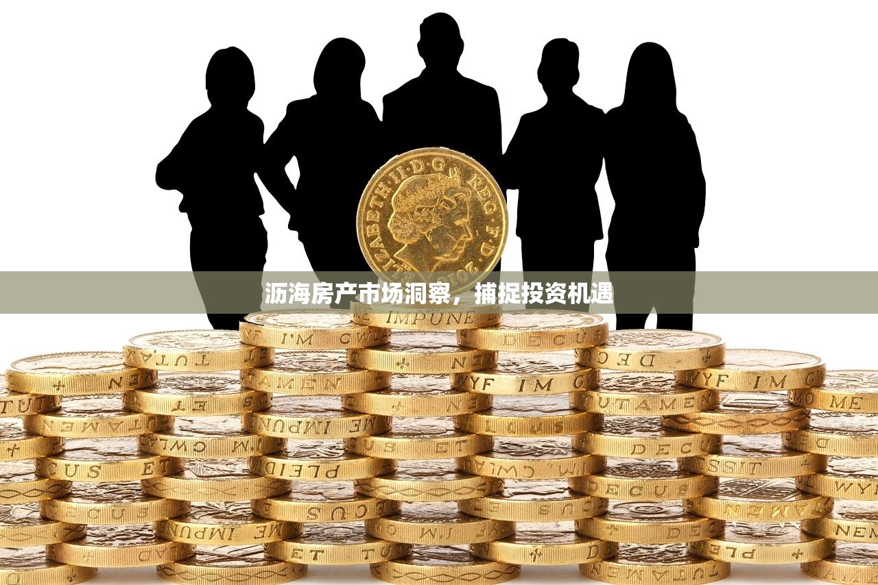 沥海房产市场洞察，捕捉投资机遇