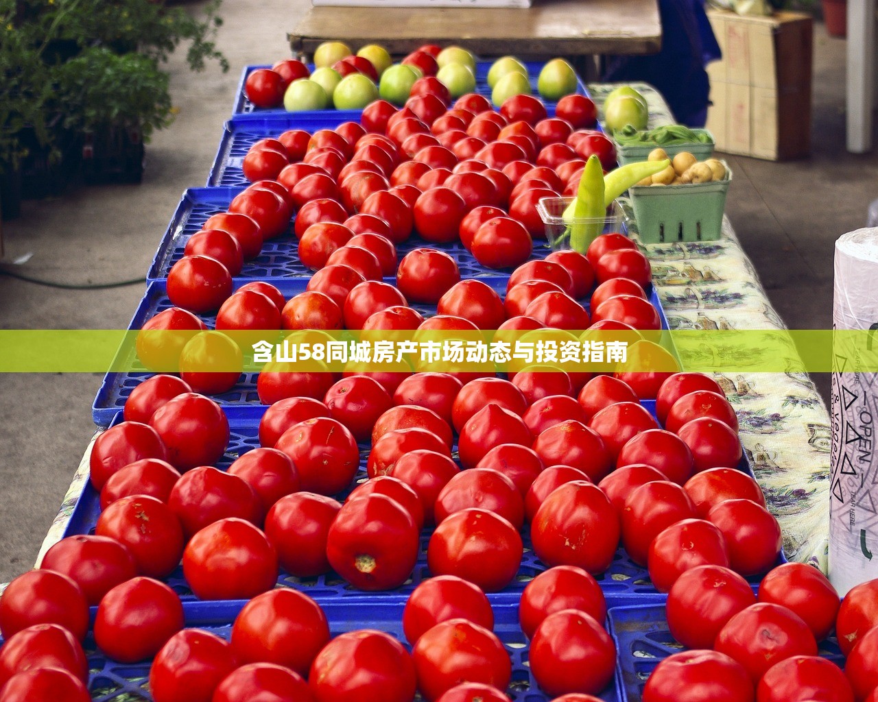 高效合规获取商铺产权证明，房产证办理全攻略