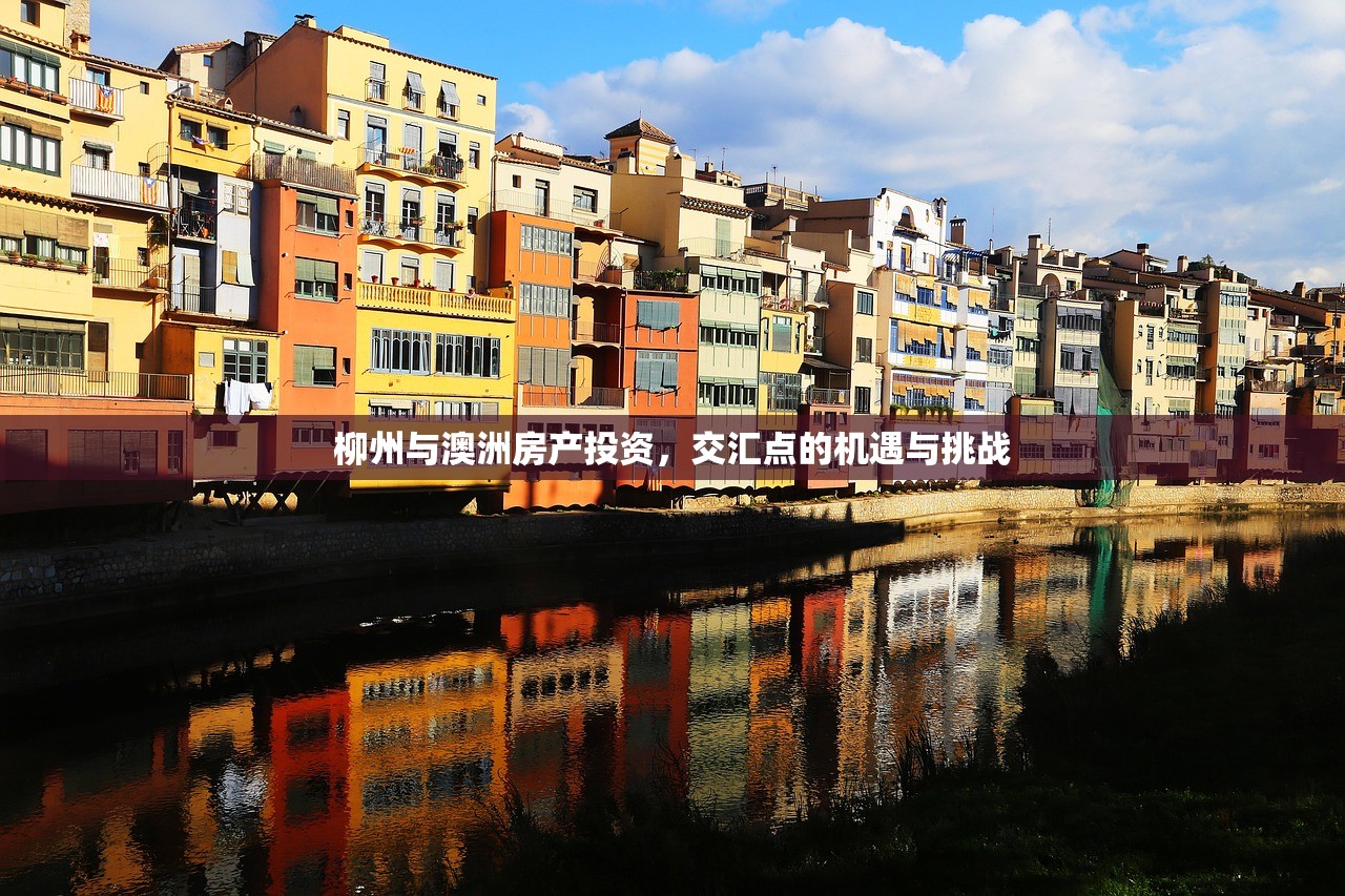 劳新翰