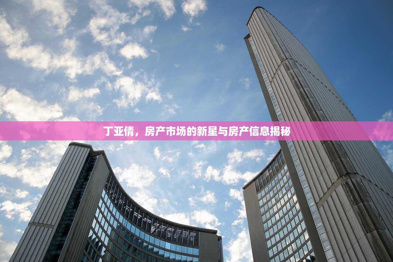 丁亚倩，房产市场的新星与房产信息揭秘
