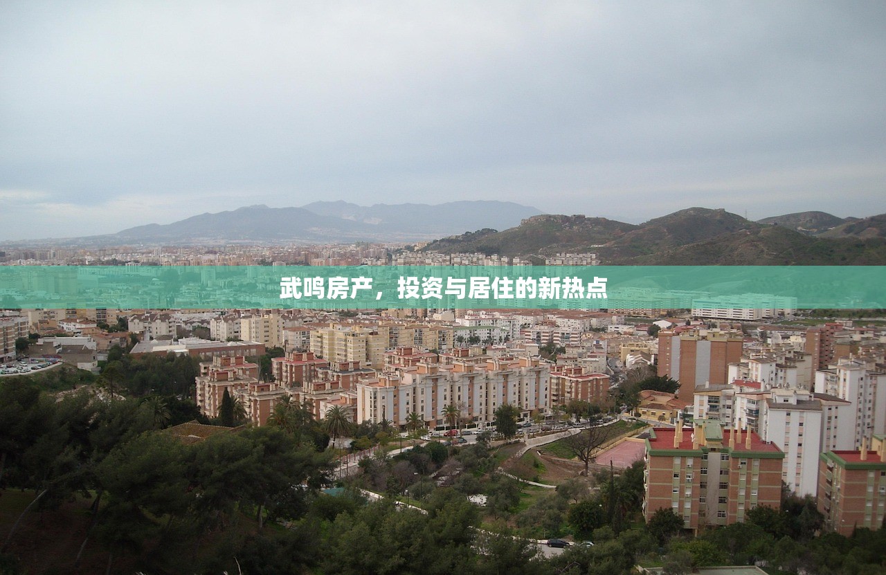 武鸣房产，投资与居住的新热点