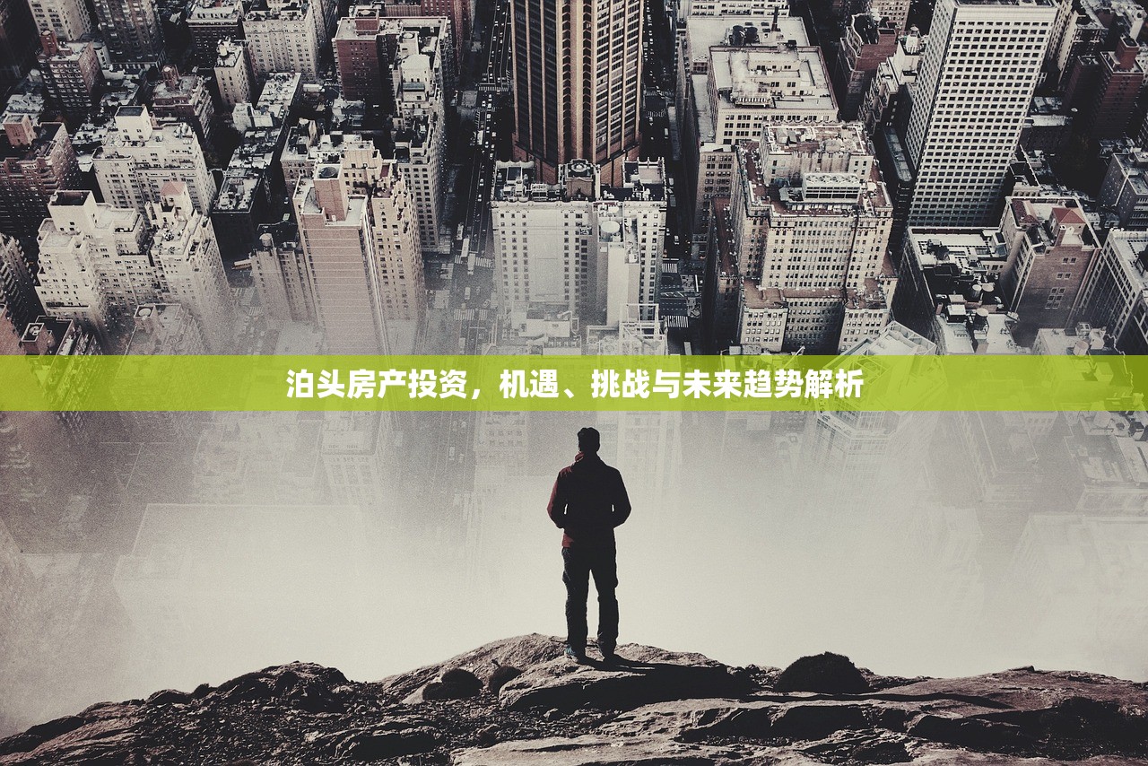 泊头房产投资，机遇、挑战与未来趋势解析