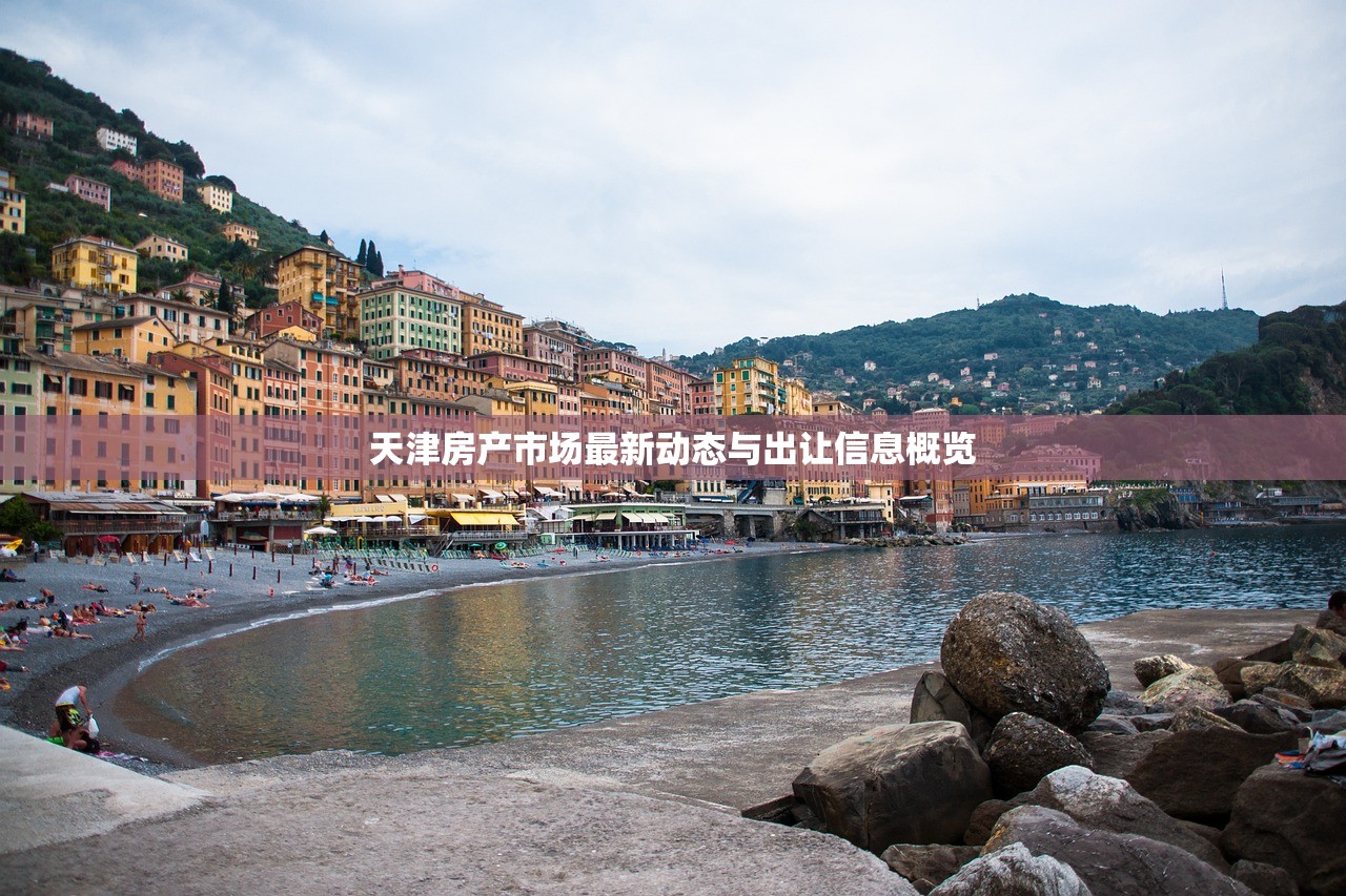 天津房产市场最新动态与出让信息概览