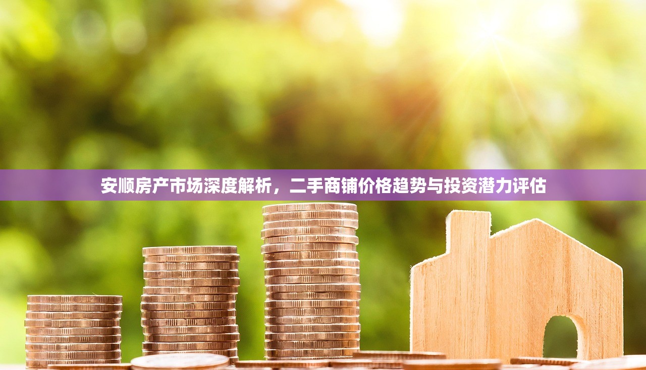 安顺房产市场深度解析，二手商铺价格趋势与投资潜力评估