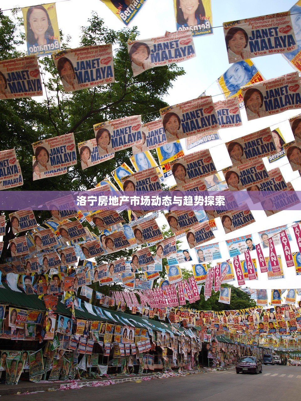 洛宁房地产市场动态与趋势探索