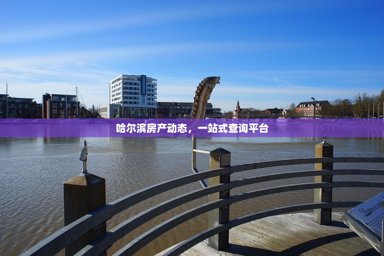 哈尔滨房产动态，一站式查询平台