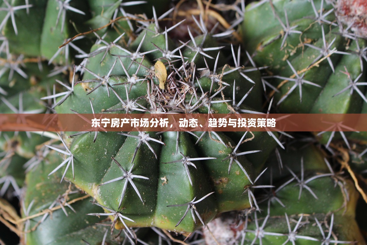 东宁房产市场分析，动态、趋势与投资策略