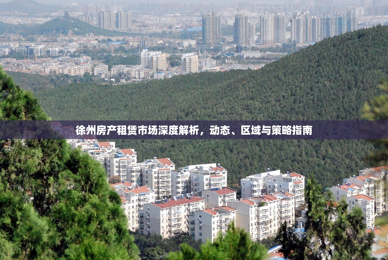 徐州房产租赁市场深度解析，动态、区域与策略指南
